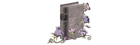 Bishop Allen - May EP Cover